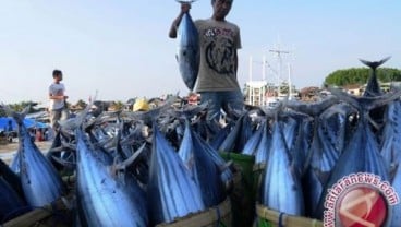 Harga di Nelayan Rendah, KKP Rombak Proses Lelang Ikan